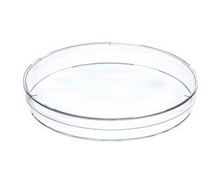 Petri dish, 145mm, triple vented (639102) | Microbiology Consumable | Bench&Flask