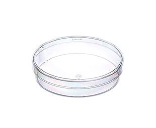 Petri dish, polystyrene, 100x20mm, vents, 15pc, sterile (664161) | Microbiology Consumable | Bench&Flask